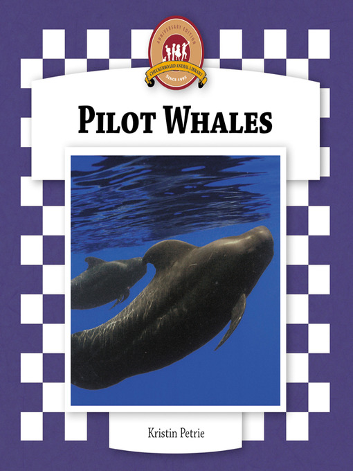 pilot whales essay Pilot whales some part of the paper needs to be related to cape cod (usa) and how their habitat is based around cape cod try using a video/interview as a source. pilot whales essay Pilot whales some part of the paper needs to be related to cape cod (usa) and how their habitat is based around cape cod try using a video/interview as a source.